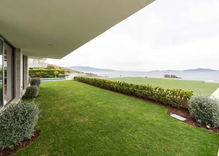 فيلة The View بودروم